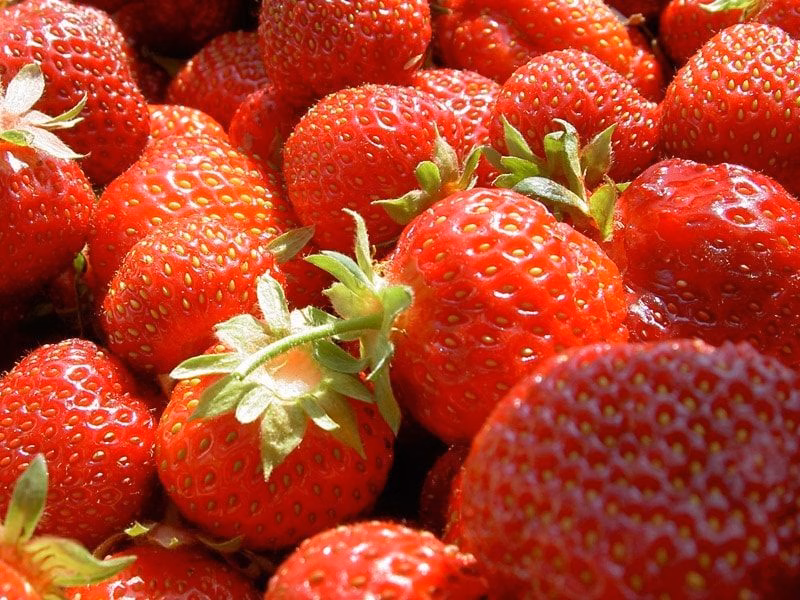 Erdbeeren für Wellensittiche: Gesundes Superfood oder süße Gefahr? 2 Nahaufnahme von frischen, reifen roten Erdbeeren. Ein gesunder, vitaminreicher Snack für Wellensittiche.