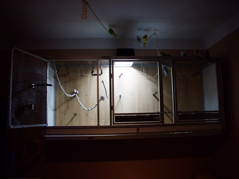 Wellensittich Voliere aus Aluminium – Erfahrungsbericht, Vorteile & Tipps 10 Aluminium-Voliere für Wellensittiche – Ansicht mit Edelstahldraht und Zubehör