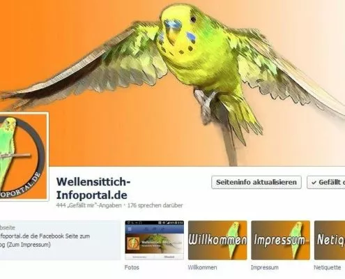 Wellensittiche auf Facebook