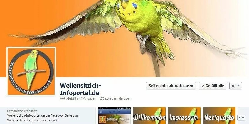 Wellensittiche auf Facebook