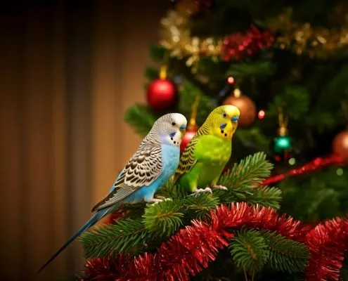 zwei Wellensittiche sitzen auf einem geschmückten Weihnachtsbaum