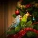 zwei Wellensittiche sitzen auf einem geschmückten Weihnachtsbaum