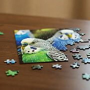 Auf dem Tisch liegt ein unfertiges Puzzle mit Wellensittichen als Motiv.