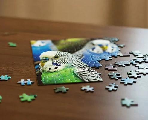 Auf dem Tisch liegt ein unfertiges Puzzle mit Wellensittichen als Motiv.