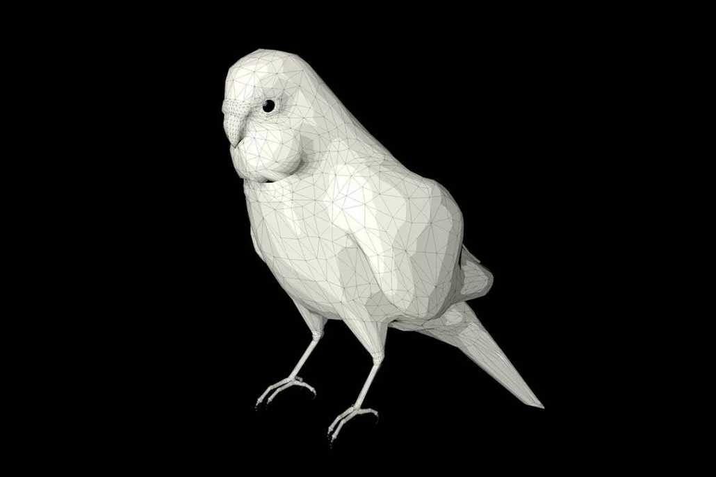 Wellensittich in 3D