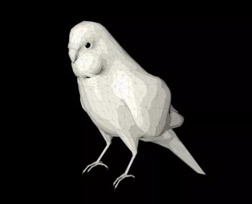Wellensittich in 3D