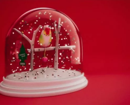 Wellensittich als Weihnachtsgeschenk