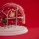 Wellensittich als Weihnachtsgeschenk