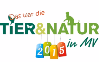 Die Messe zum Anfassen, Erleben & Informieren 11 Messe in Rostock 2015