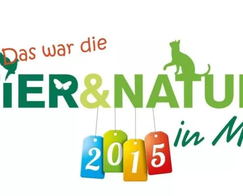 Messe in Rostock 2015