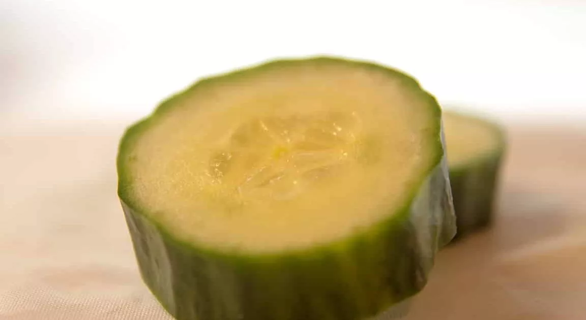 Salatgurke mit fleischigen Früchten