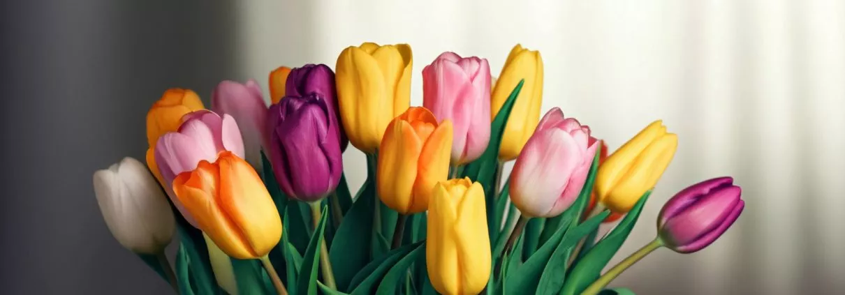 Ein Strauß bunter Tulpen steht in einem Raum