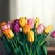 Ein Strauß bunter Tulpen steht in einem Raum
