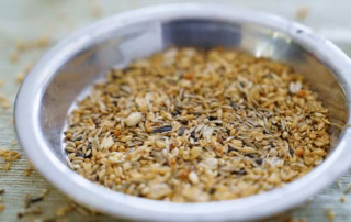 Spelzen – warum du leere Körnerhülsen regelmäßig entfernen solltest 9 Leere Spelzen und Samenschalen im Futternapf eines Wellensittichs nach der Fütterung