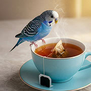 Ein blauer Wellensittich sitzt auf dem Rand einer Teetasse, die mit Tee und Teebeutel gefüllt ist.