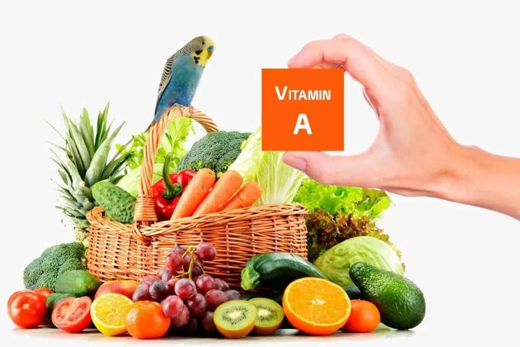 Vitamin A beim Wellensittich