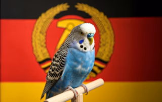 Vogelzucht zu DDR-Zeiten: Leidenschaft und Herausforderungen 3 Ein blauer Wellensittich sitzt vor einer DDR Fahne