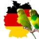 Vogelzüchter vor der Deutschen Einheit
