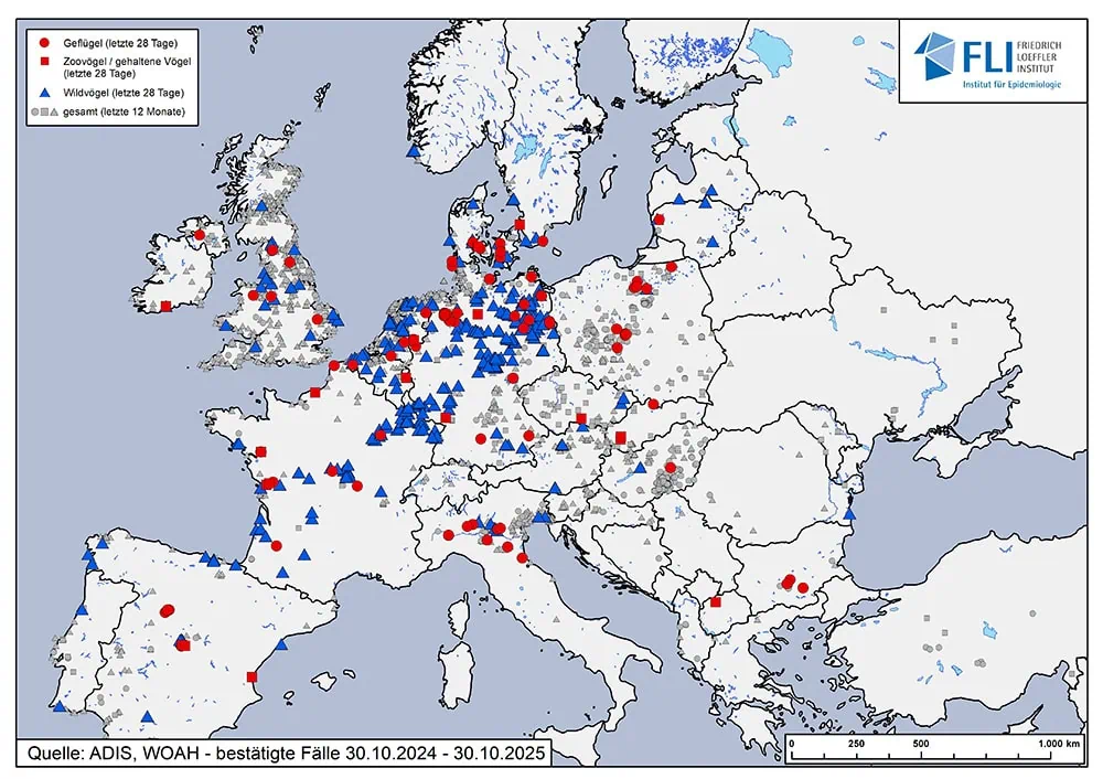 Vogelgrippe & Stallpflicht: Was bedeutet das für Wellensittich-Halter wirklich? 2 Karte Europas mit bestätigten Vogelgrippe-Fällen 2024/2025: Ausbrüche bei Geflügel, gehaltenen Vögeln und Wildvögeln, dargestellt durch rote Kreise, rote Quadrate und blaue Dreiecke.