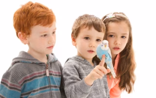 Welttierschutztag 2017: Tierschutz beginnt im Kinderzimmer 8 Kinder mit blauen Wellensittich