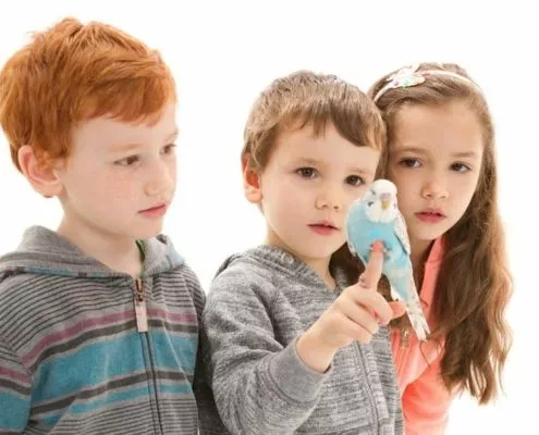 Kinder mit blauen Wellensittich