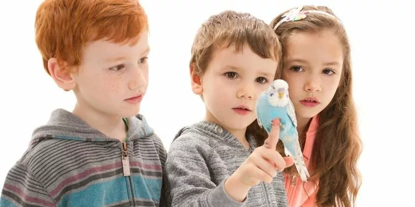 Kinder mit blauen Wellensittich