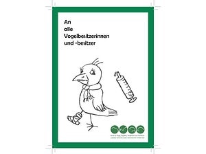 Doktorarbeit Flyer