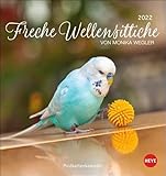 Freche Wellensittiche Postkartenkalender 2022