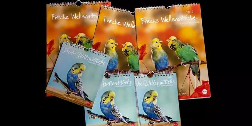Wellensittichkalender
