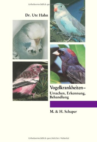 Vogelkrankheiten-: Ursachen, Erkennung, Behandlung