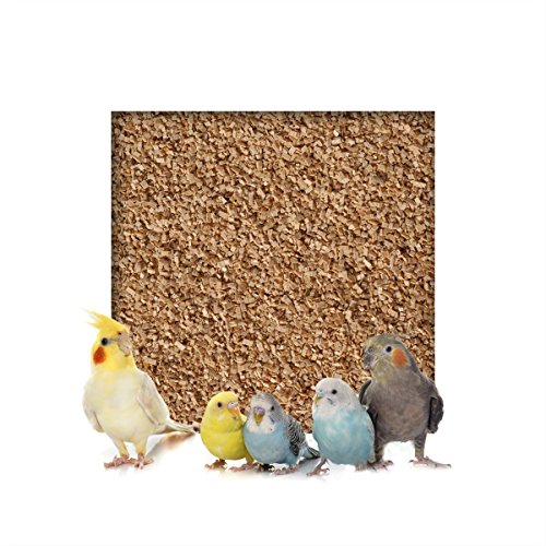 Kieskönig 5 kg Buchenholzgranulat Vogelsand Bodengrund Terrariensand Einstreu Terrariumsand Tiereinstreu Fein 1,0-2,5 mm