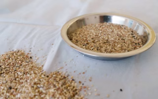 Mineralstoffe sind wichtig für die Gesundheit der Wellensittiche 11 Napf mit Mineralstoffmischung – wichtig für die Verdauung und Mineralstoffversorgung von Wellensittichen