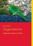 Ziegensittiche: Artgerechte Haltung und Pflege