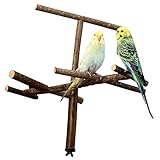 Käfigantenne, Cooles Vogelspielzeug als Anflugstange oder Sitzplatz aus Naturholz