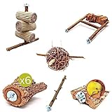 Vogelgaleria® 6 teiliges Schredder und Knabber Set für Vögel | Basisausstattung für Vogelhalter | Wellensittich Spielzeug | Vogelspielzeug Nymphensittich