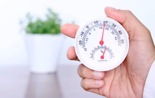 Luftfeuchtigkeit für Wellensittiche – Optimales Raumklima mit Luftbefeuchter & Hygrometer 6 Raumklima und Luftfeuchtigkeit bei Wellensittichen