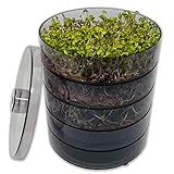 SaatPur® Keimsprossenbox Set 4 mit Vier Etagen als Sprossen Keimgerät: Sprossen Anzucht sowie Microgreens Anzuchtschalen. Keimbox, Keimschale, Keimschachtel, Sprossenbox, Sprossenhaus, Keimgerät