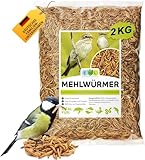 EWL Naturprodukte Mehlwürmer getrocknet 2kg entspricht 13ltr. Insektensnack für Vögel, Fische, Schildkröten, Nager und Reptilien