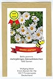 ausdauerndes Gänseblümchen – Bellis perennis – Bienenweide – 1000 Samen