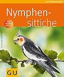 Nymphensittiche