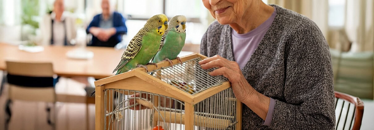 Seniorin im Altersheim mit zwei Wellensittichen auf einem Vogelkäfig.