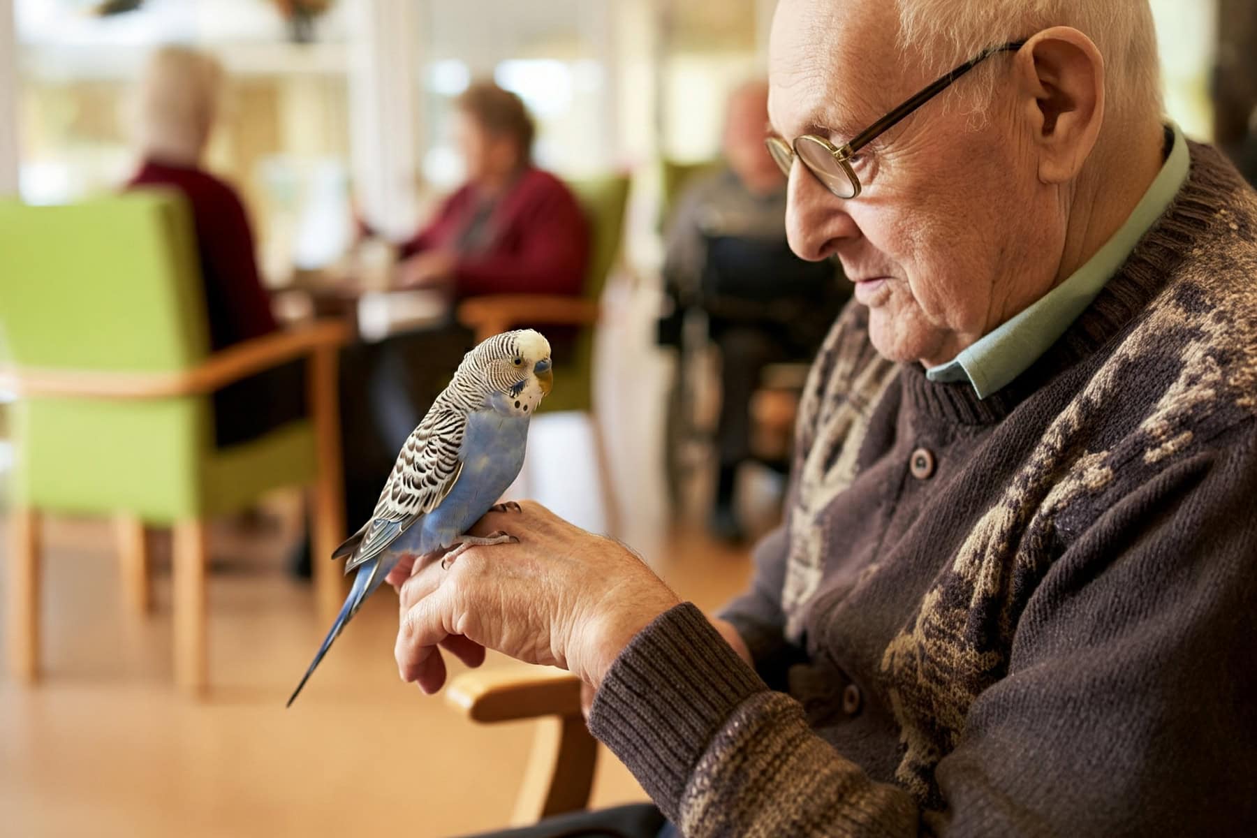 Ein älterer Mann kommuniziert mit einem Wellensittich, der auf seinem Finger sitzt.