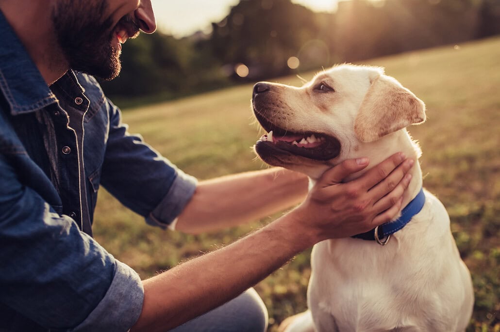 Glücklicher Hund mit Besitzer – Heimtiere stärken die Bindung zwischen Mensch und Tier