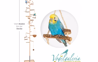 Vogelgaleria: Warum dieses Zubehör für Wellensittiche so besonders ist 3 Wellensittich sitzt auf einem XXL-Kletterbaum aus Naturholz neben dem Logo von Vogelgaleria.